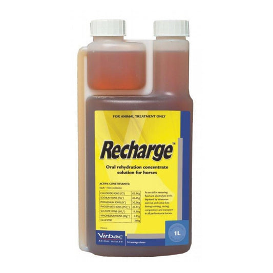 Recharge for Horses 1L