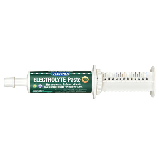 Electrolyte Paste 60ml